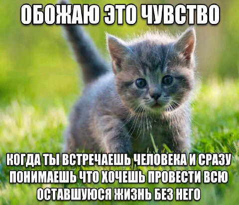 ОБОЖАЮ ЭТО ЧУВСТВО КОГДА ТЫ ВСТРЕЧАЕШЬ ЧЕЛОВЕКА И СРАЗУ ПОНИМАЕШЬ ЧТО ХОЧЕШЬ ПРОВЕСТИ ВСЮ ОСТАВШУЮСЯ ЖИЗНЬ БЕЗ НЕГО