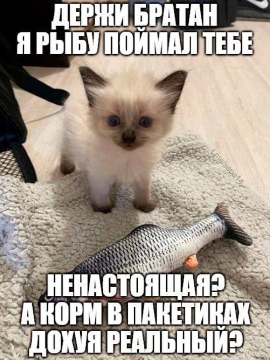 ДЕРЖИ БРАТАН we. ~a ANS A 2 =AKOPMB