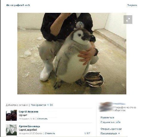 Воробей
