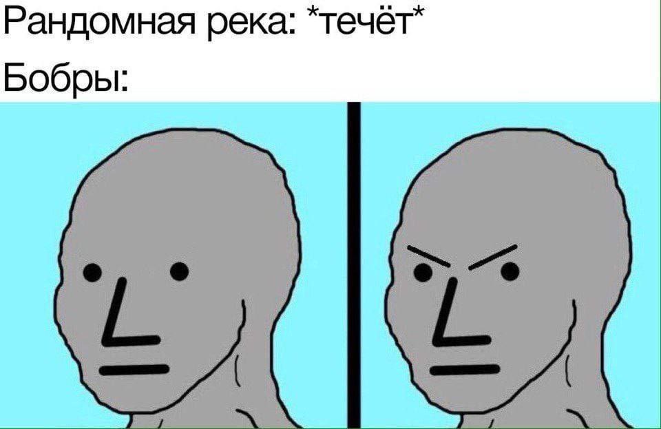 Рандомная река: Бобры: