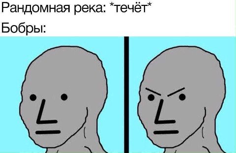 Рандомная река: Бобры:
