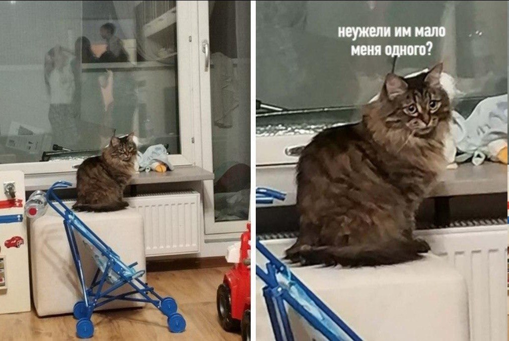 неужели меня одного у
