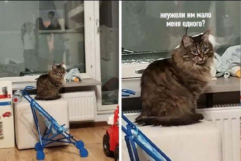 неужели меня одного у