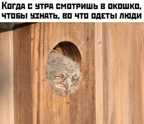 Когда с УТРА СМОТРИШЬ В ОКОШКО, ЧТОБЫ УЗНАТЬ, ВО ЧТО ОДЕТЫ ЛЮДИ