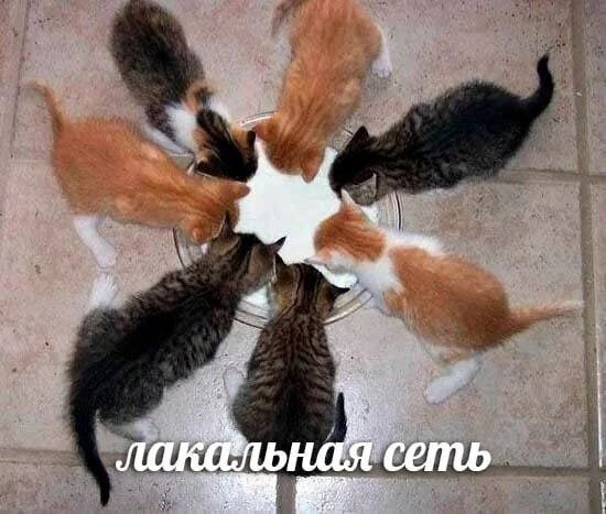 ная сеть