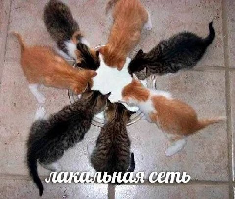 ная сеть