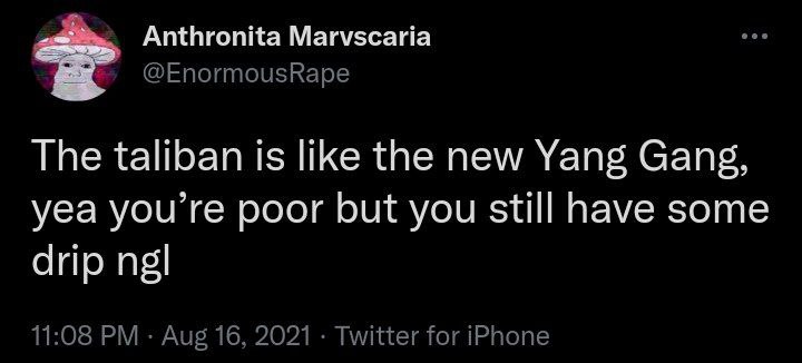 Anthronita Marvscaria @EnormousRape The taliban is like the new Yang Gang, yea you’re poor but you still have some drip 11:08 Aug 16, 2021 Twitter for iPhone