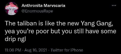 Anthronita Marvscaria @EnormousRape The taliban is like the new Yang Gang, yea you’re poor but you still have some drip 11:08 Aug 16, 2021 Twitter for iPhone