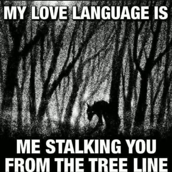 LOVE LANGUAGE IS ME STALKING YOU FROM THE TREE LINE