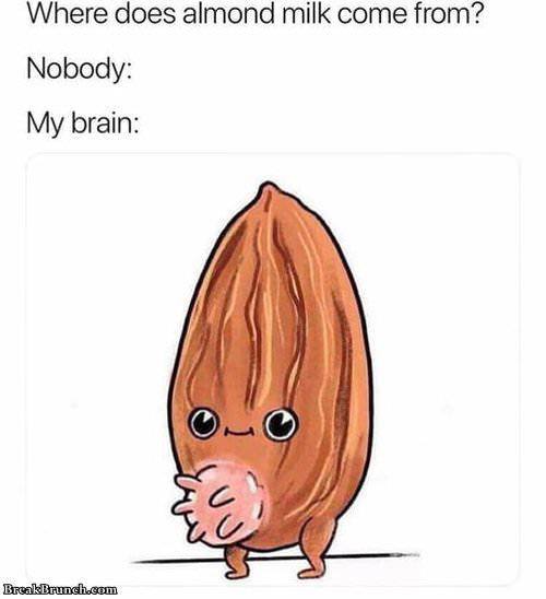 Where does almond milk come from? Nobody: My brain: