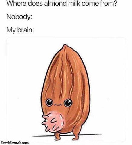 Where does almond milk come from? Nobody: My brain: