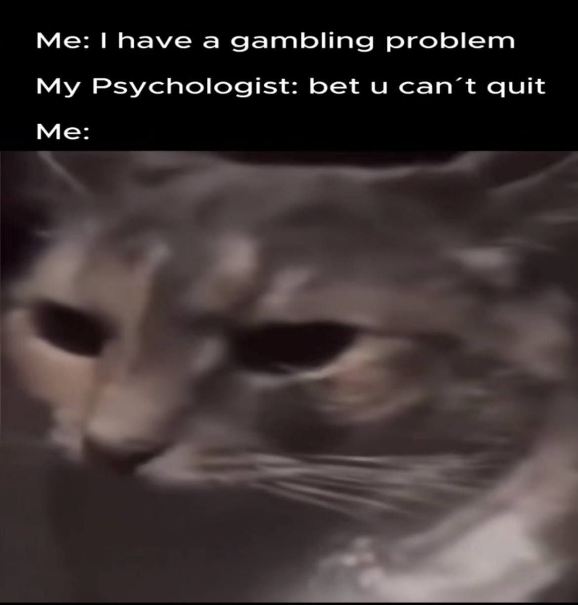 have а gambling problem My Psychologist: bet и can’t quit Me