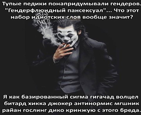 Тупые педики понапридумывали гендеров. "Гендерфлюидный пансексуал"... Что этот набор идиотских слов вообще значит? Я как базированный сигма гигачад волцел битард хикка джокер антинормис мгшник райан г