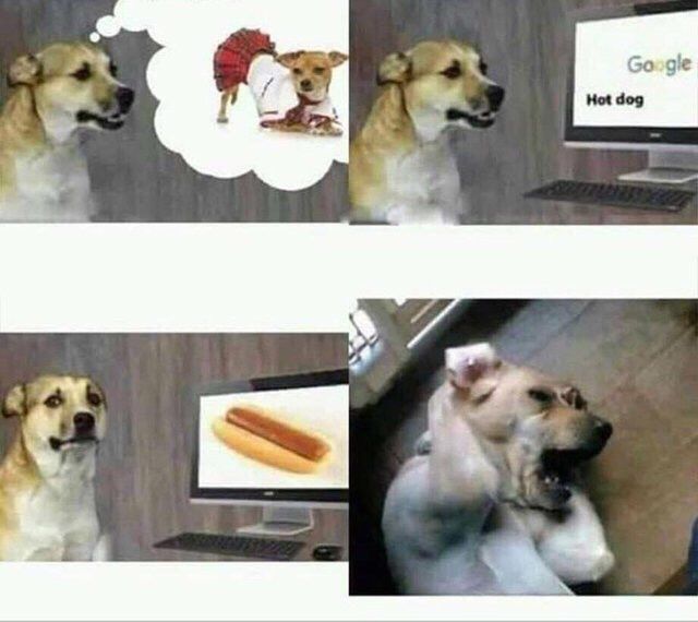 Hot dog A
