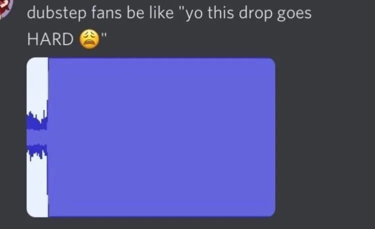 dubstep fans be like this drop goes HARD