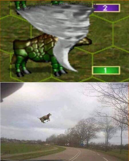 ASS a