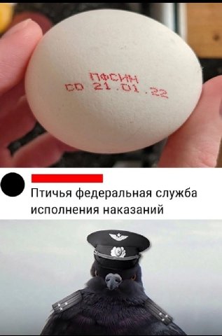 Птичья федеральная служба исполнения наказаний