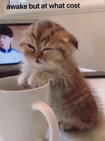 awake but at what cost