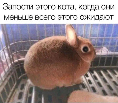 👤 - -