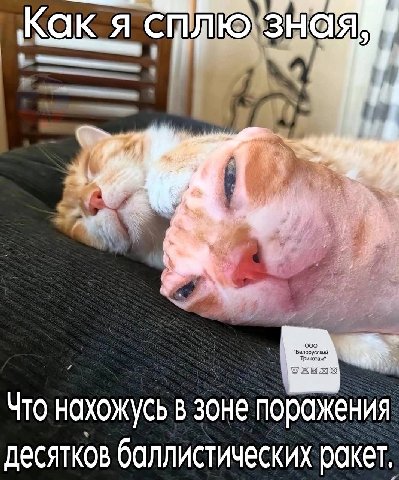 как я СПЛЮ ЗНАЯ i we Что нахожусь в зоне поражения десятков баллистических ракет,