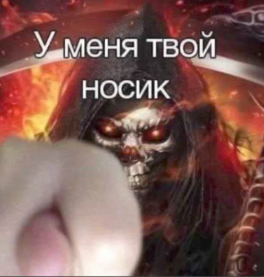 твой НОСИК