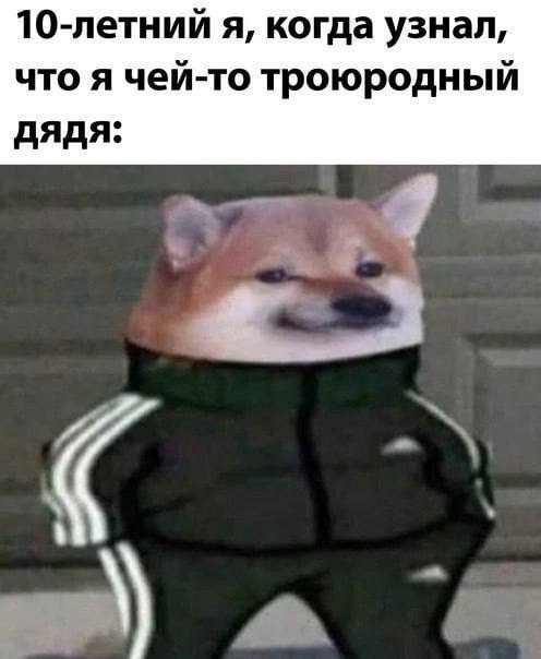 10-летний я, когда узнал, что я чей-то троюродный дядя: