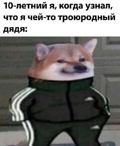 10-летний я, когда узнал, что я чей-то троюродный дядя: