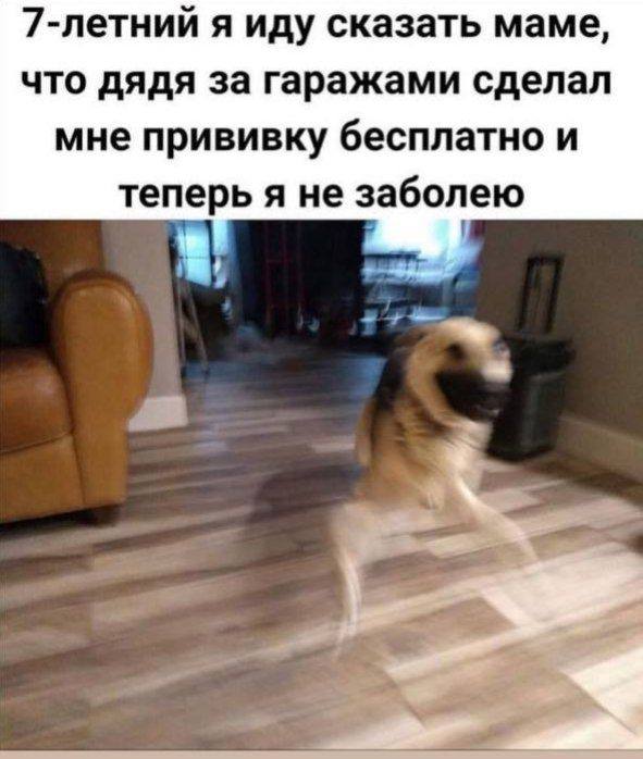 7-летний я иду сказать маме, что дядя за гаражами сделал мне прививку бесплатно и теперь я не заболею