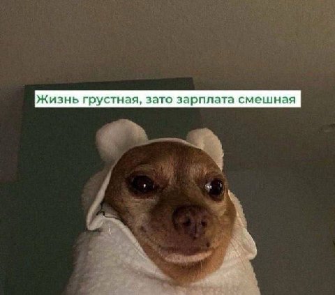 Жизнь грустная, зато зарплата смешная