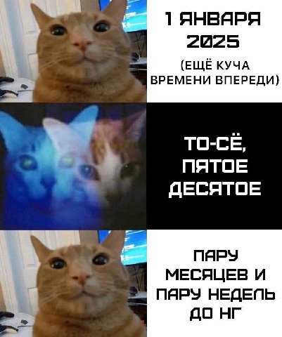 1 ЯНВЯРЯ 2025 (ЕЩЁ КУЧА ВРЕМЕНИ ВПЕРЕДИ) TO-CE, NATOE ДЕСЯТОЕ ПАРУ МЕСЯЦЕВ И ПЯРУ НЕДЕПЬ