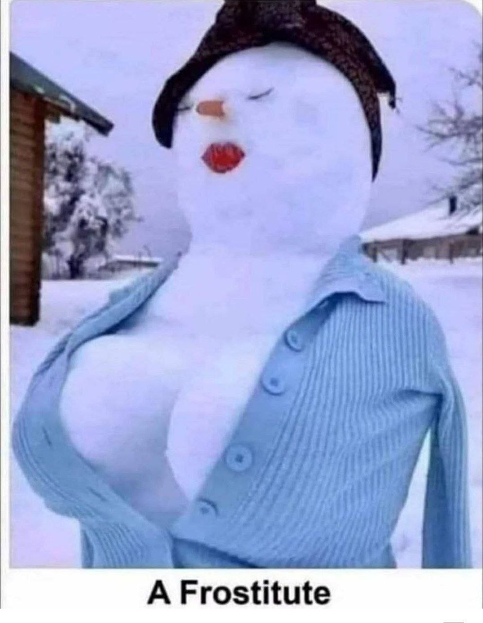 А Frostitute