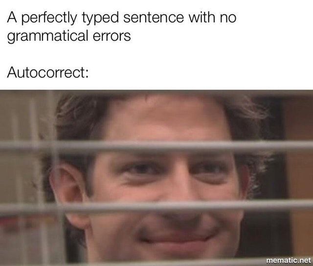A perfectly typed sentence with по grammatical errors Autocorrect: mematic:net