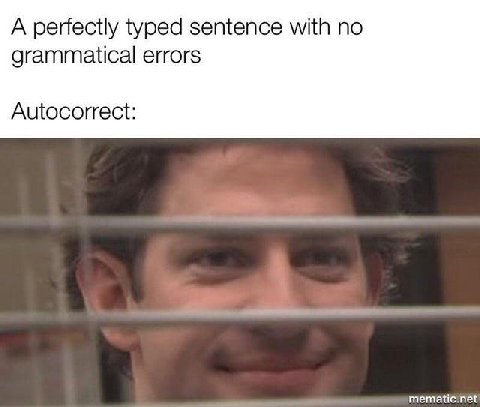 A perfectly typed sentence with по grammatical errors Autocorrect: mematic:net