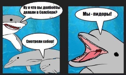 и что вы долбоёбь 5 Мы пидоры! а я 4 смотрели if