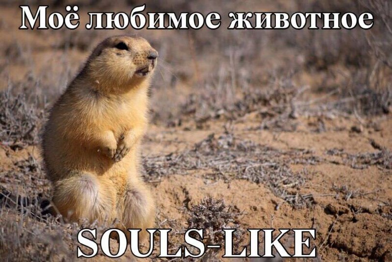 Моб любимос животнос у. SOULS-LIKE