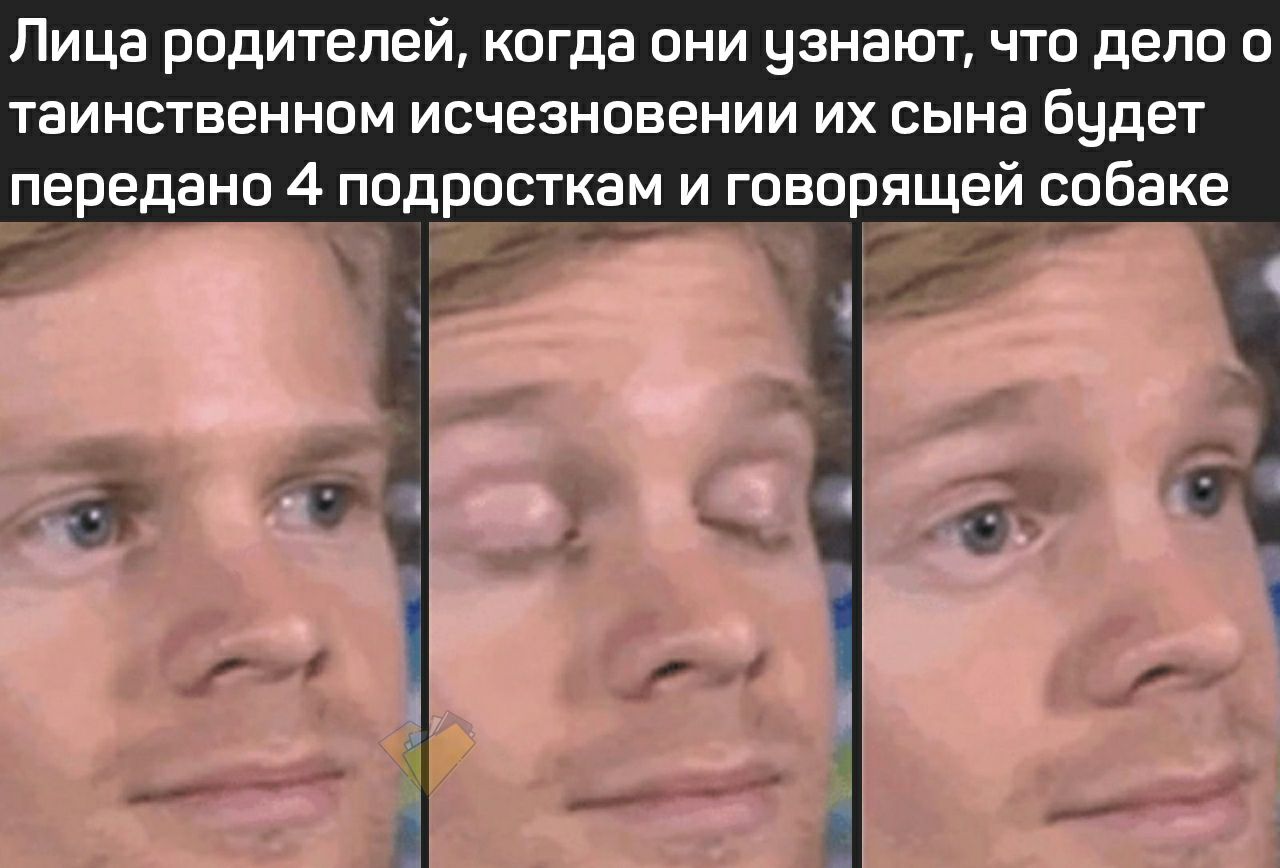 Лица родителей, когда они узнают, что дело о таинственном исчезновении сына будет передано 4 подросткам и говорящей собаке