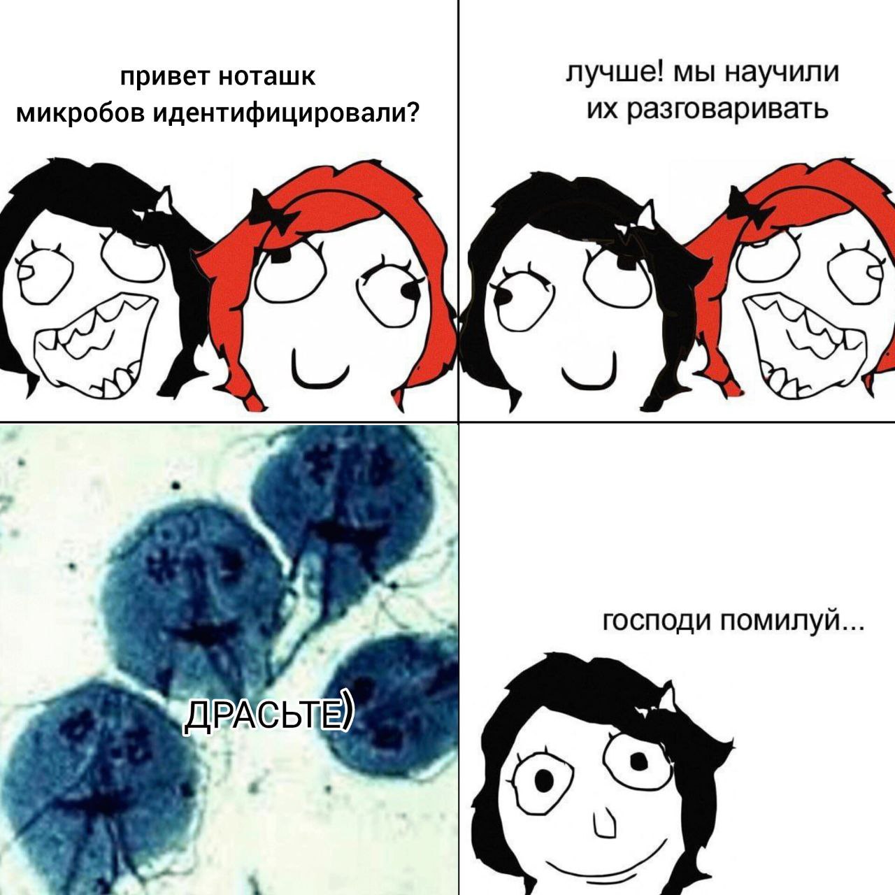 привет ноташк лучше! мы научили микробов идентифицировали? разговаривать господи помилуй... ДРАСЬТЕ)