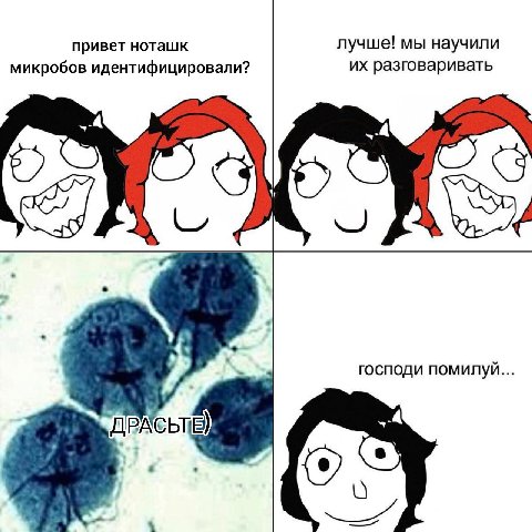 привет ноташк лучше! мы научили микробов идентифицировали? разговаривать господи помилуй... ДРАСЬТЕ)
