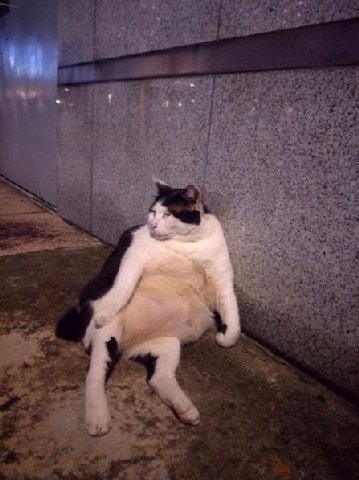 3 a В