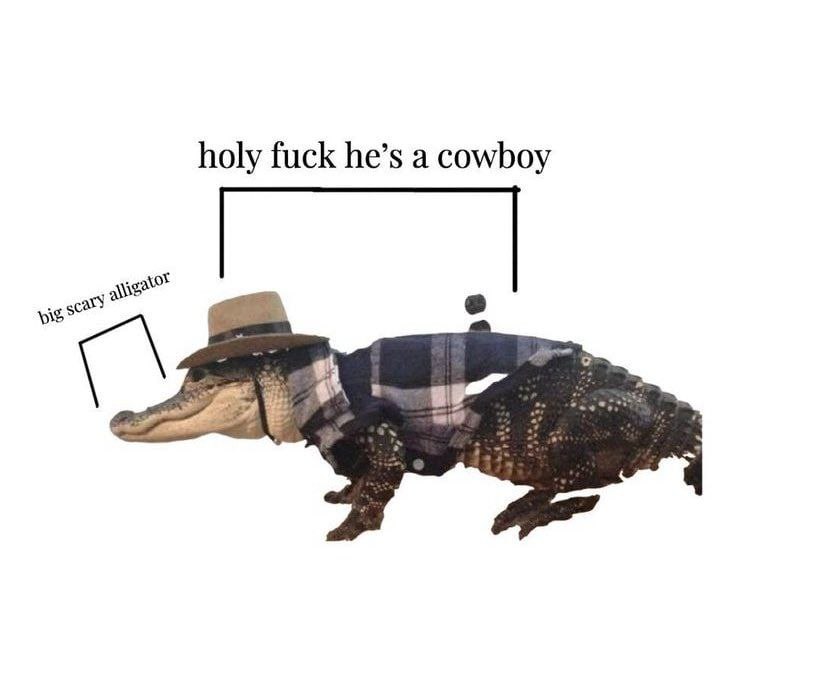 holy fuck he’s а cowboy
