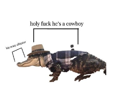 holy fuck he’s а cowboy