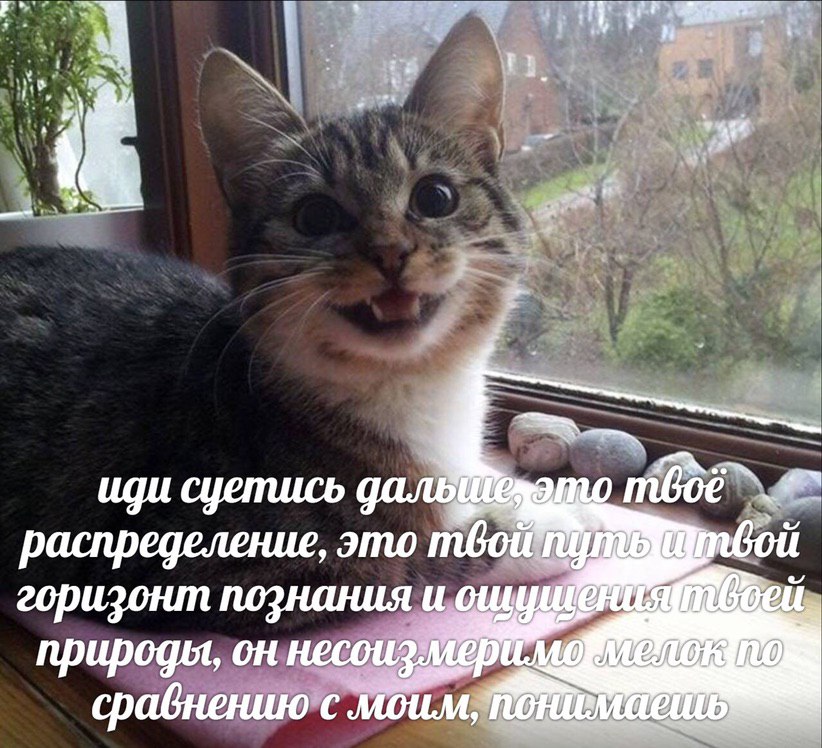 4 7 иди суетись распределение, это рой горизонт познания и природы, он сравнению с