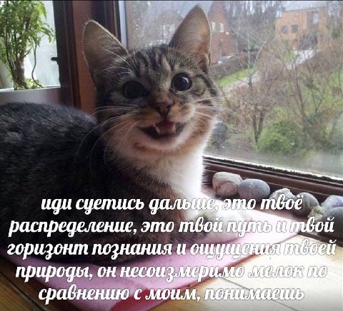 4 7 иди суетись распределение, это рой горизонт познания и природы, он сравнению с