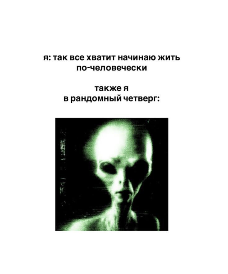 я: так все хватит начинаю жить по-человечески также я в рандомный четверг: