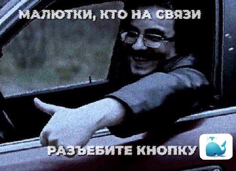 MAJHOTHH, КТО НАСВЯЗИ 4, a БИТЕ КНОПКУ