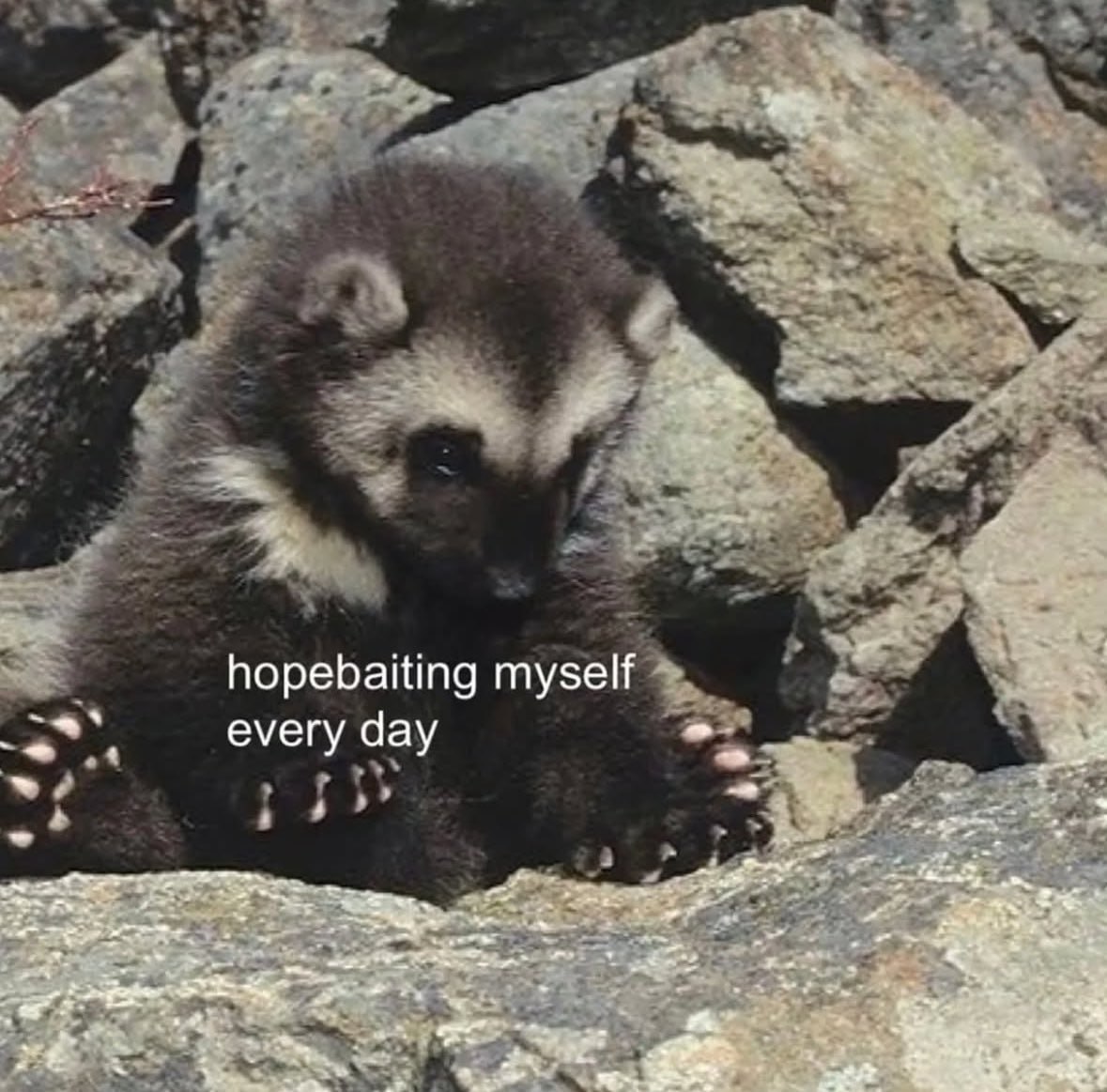 hopebaiting myself every day 4