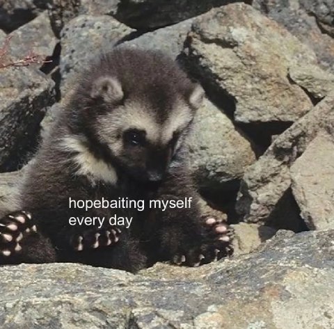 hopebaiting myself every day 4