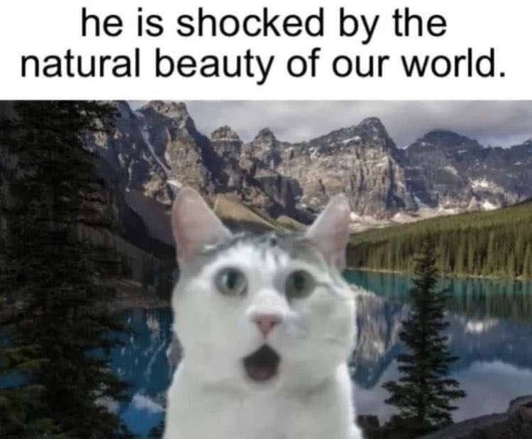 he is shocked the natural beauty of our world.