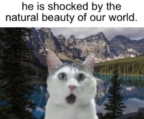 he is shocked the natural beauty of our world.