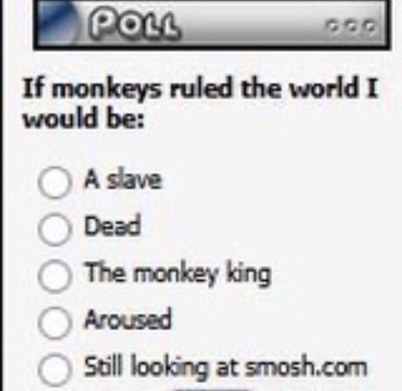 If monkeys ruled the world I would be: А Зам Aroused looking at smosh.com